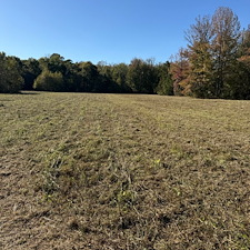 Bush-Hogging-Services-in-Oxford-MS 4